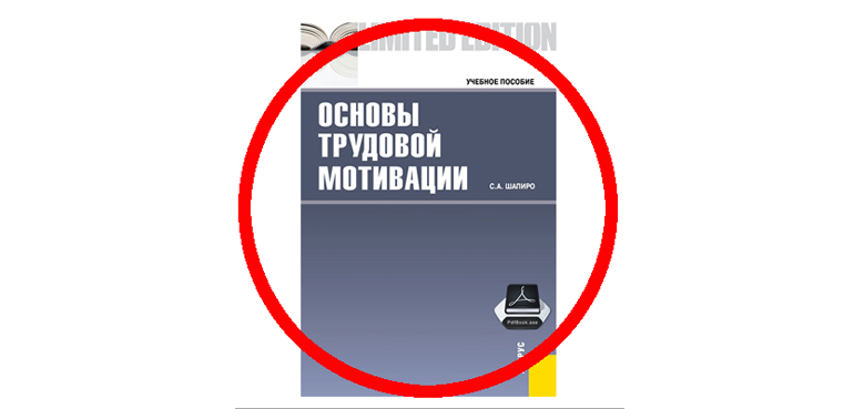 С.А. Шапиро «Основы трудовой мотивации»