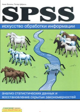 Стажировка в Студии Сорокина и Кулинкович