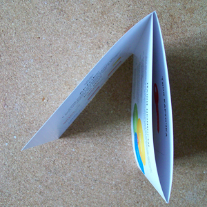 Корпоративные адаптационные пособия